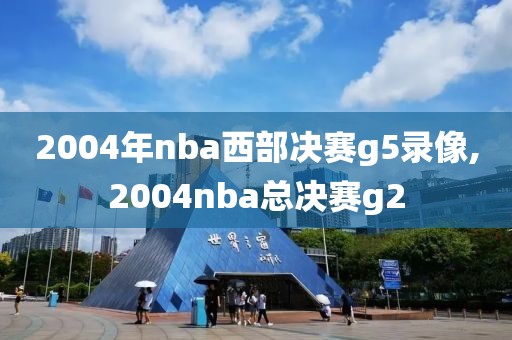 2004年nba西部决赛g5录像,2004nba总决赛g2