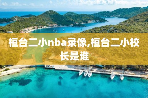 桓台二小nba录像,桓台二小校长是谁