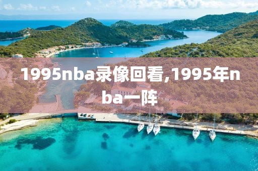 1995nba录像回看,1995年nba一阵