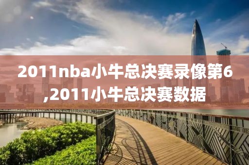2011nba小牛总决赛录像第6,2011小牛总决赛数据