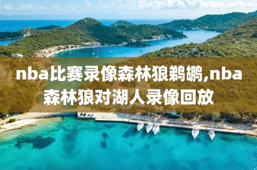 nba比赛录像森林狼鹈鹕,nba森林狼对湖人录像回放