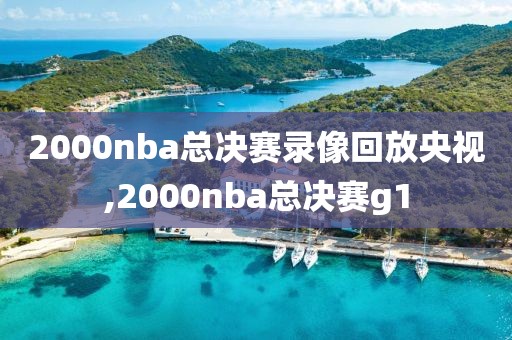 2000nba总决赛录像回放央视,2000nba总决赛g1