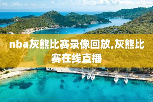 nba灰熊比赛录像回放,灰熊比赛在线直播