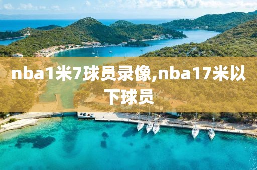 nba1米7球员录像,nba17米以下球员