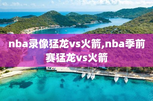 nba录像猛龙vs火箭,nba季前赛猛龙vs火箭