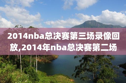 2014nba总决赛第三场录像回放,2014年nba总决赛第二场