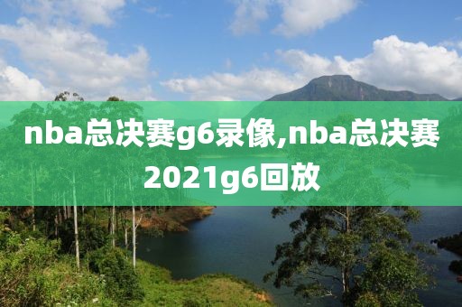 nba总决赛g6录像,nba总决赛2021g6回放
