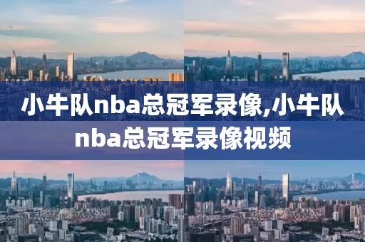 小牛队nba总冠军录像,小牛队nba总冠军录像视频