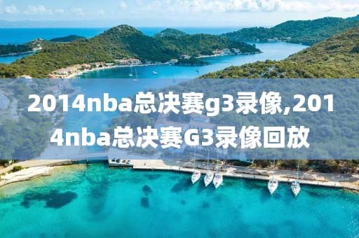 2014nba总决赛g3录像,2014nba总决赛G3录像回放