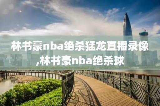 林书豪nba绝杀猛龙直播录像,林书豪nba绝杀球